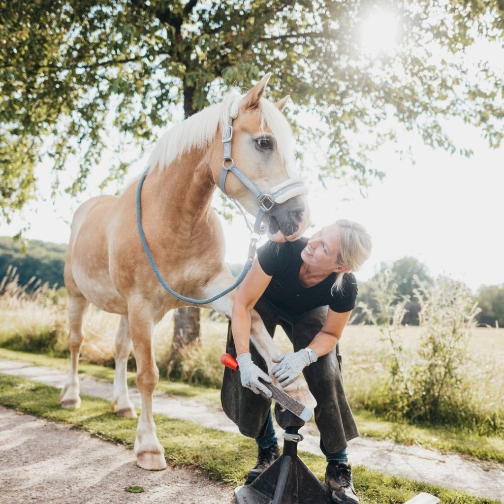 Huforthopädin Tanja Rohrmann raspelt den Huf eines Haflingers auf einem Hufbock im Sonnenlicht