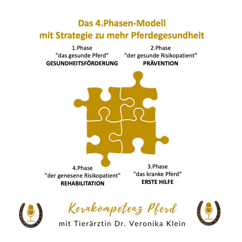 Infografik: das 4-Phasen-Modell für mehr Pferdegesundheit als Puzzle mit vier Phasen von Gesundheitsförderung bis Rehabilitation