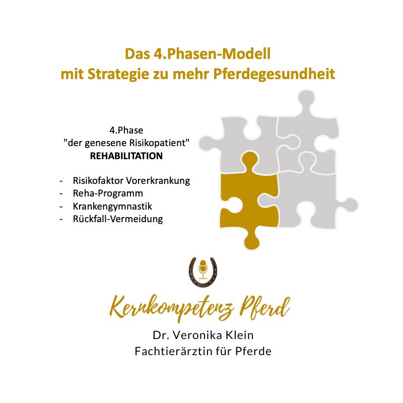 Infografik zum 4-Phasen-Modell: Phase 4 Rehabilitation des genesenen Risikopatienten