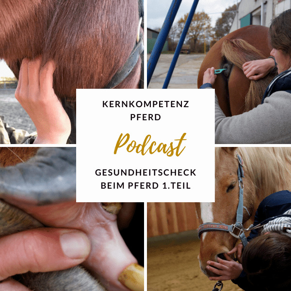 Podcast-Cover zur Folge Gesundheitscheck beim Pferd Teil 1 mit Fotos der Untersuchung am Pferd
