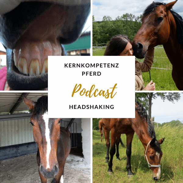 Podcast-Cover Kernkompetenz Pferd zum Thema Headshaking, mit Nahaufnahmen von Pferdegebiss und Pferdekopf sowie einem grasenden Pferd