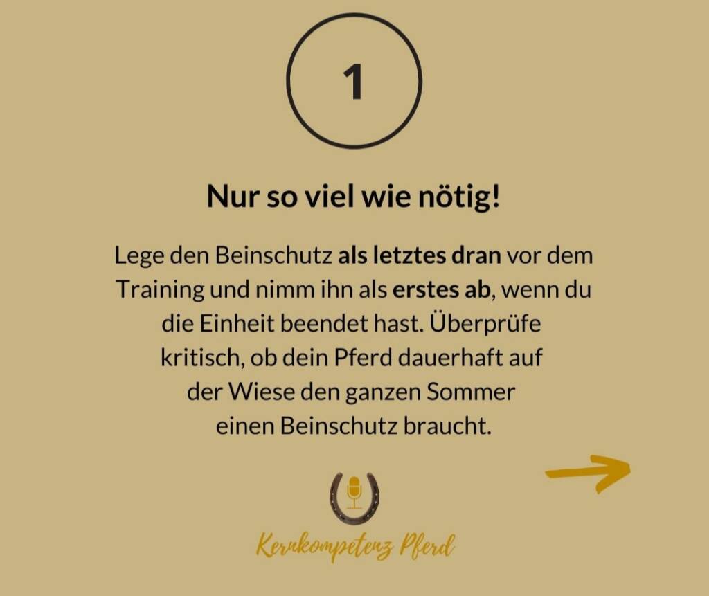 Tipp 1, Nur so viel wie nötig: Beinschutz als Letztes anlegen, als Erstes abnehmen und prüfen, ob das Pferd auf der Weide wirklich Beinschutz braucht