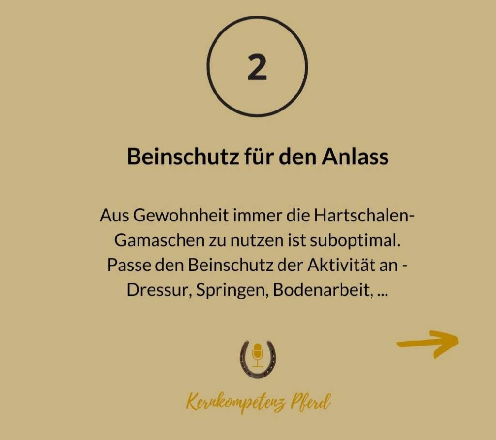 Tipp 2, Beinschutz für den Anlass: Nicht aus Gewohnheit die Hartschalengamasche nehmen, sondern den Beinschutz an Dressur, Springen oder Bodenarbeit anpassen