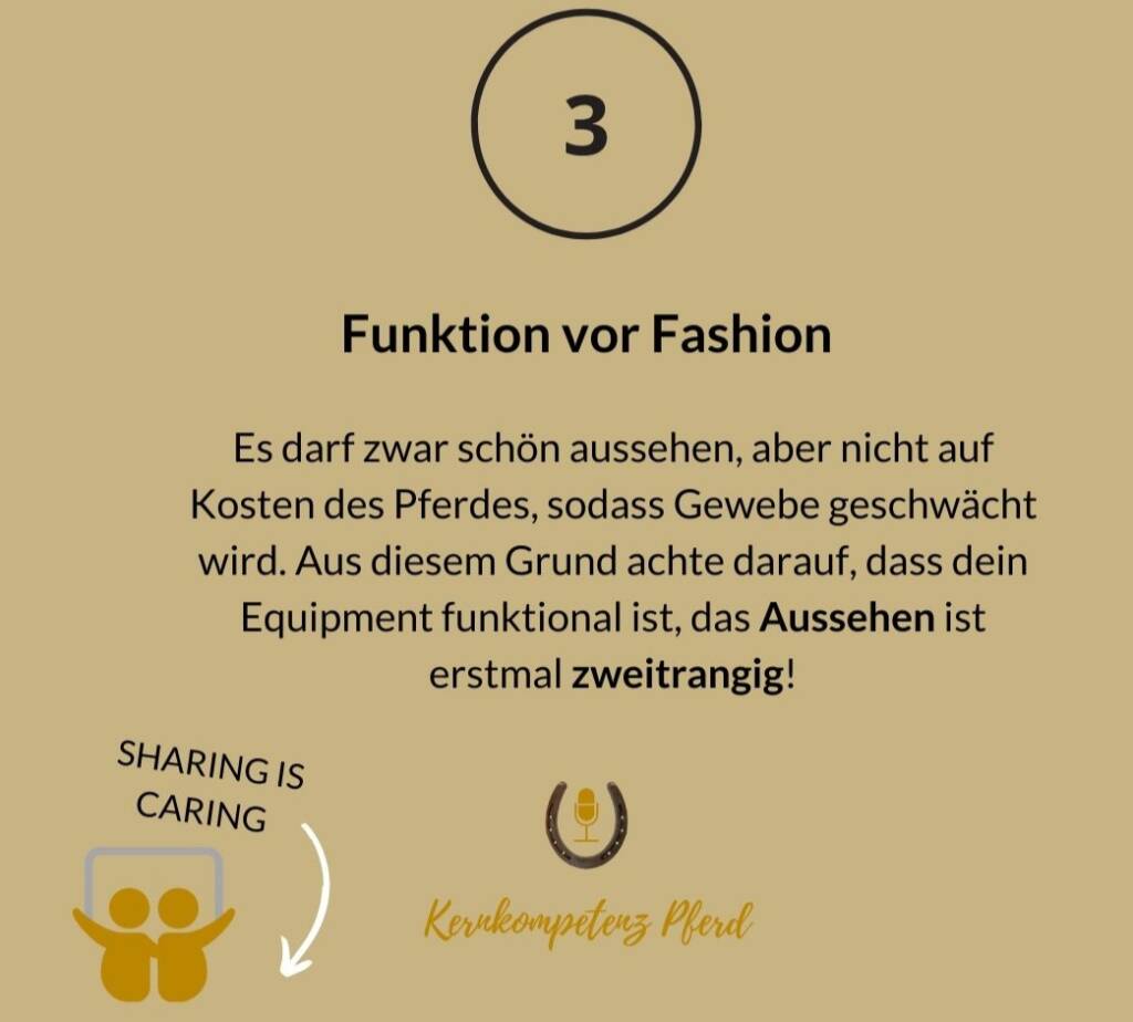 Tipp 3, Funktion vor Fashion: Beinschutz darf schön aussehen, aber nicht auf Kosten des Pferdes, das Aussehen ist zweitrangig