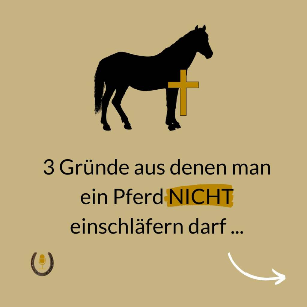 Titelkarte einer Bilderserie mit Pferdesilhouette und Kreuz: Drei Gründe, aus denen man ein Pferd nicht einschläfern darf