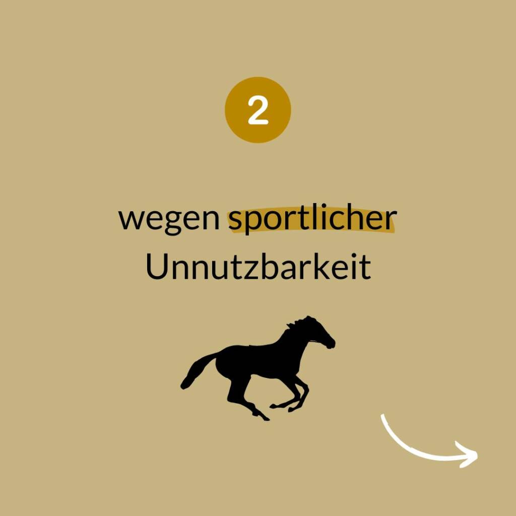 Karte 2 der Serie: Wegen sportlicher Unnutzbarkeit, dargestellt mit der Silhouette eines galoppierenden Pferdes