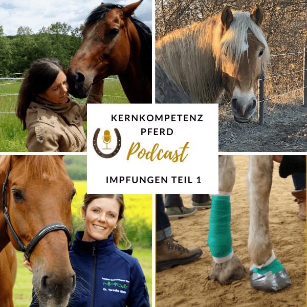 Podcast-Cover zur Folge Impfungen beim Pferd Teil 1 über Tetanus, Influenza und Herpes