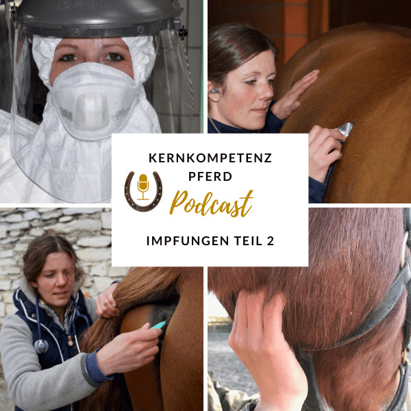 Tierärztin impft ein Pferd am Hals, Hinweis auf die Tollwut-Impfung vor Urlaubsreisen