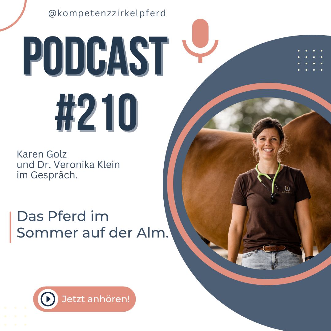 Grafik zur Podcastfolge 210 „Das Pferd im Sommer auf der Alm“: Dr. Veronika Klein mit Stethoskop vor einem Fuchs-Pferd
