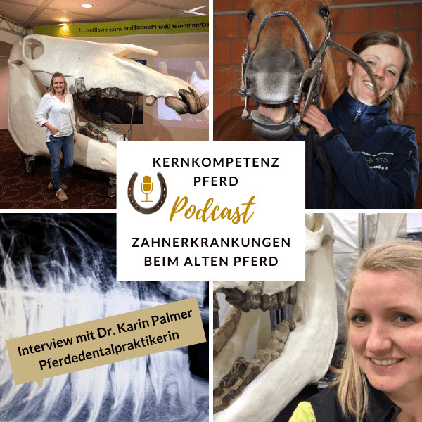 Podcast-Cover zur Folge über EOTRH und Zahnerkrankungen beim alten Pferd mit Dr. Karin Palmer