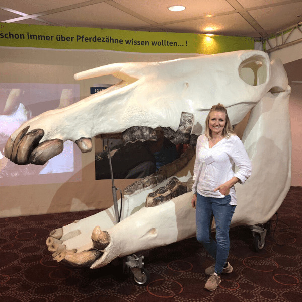 Dr. Karin Palmer neben einem begehbaren Modell eines Pferdeschädels, an dem Schneidezähne, Hengstzahn und Backenzähne zu sehen sind