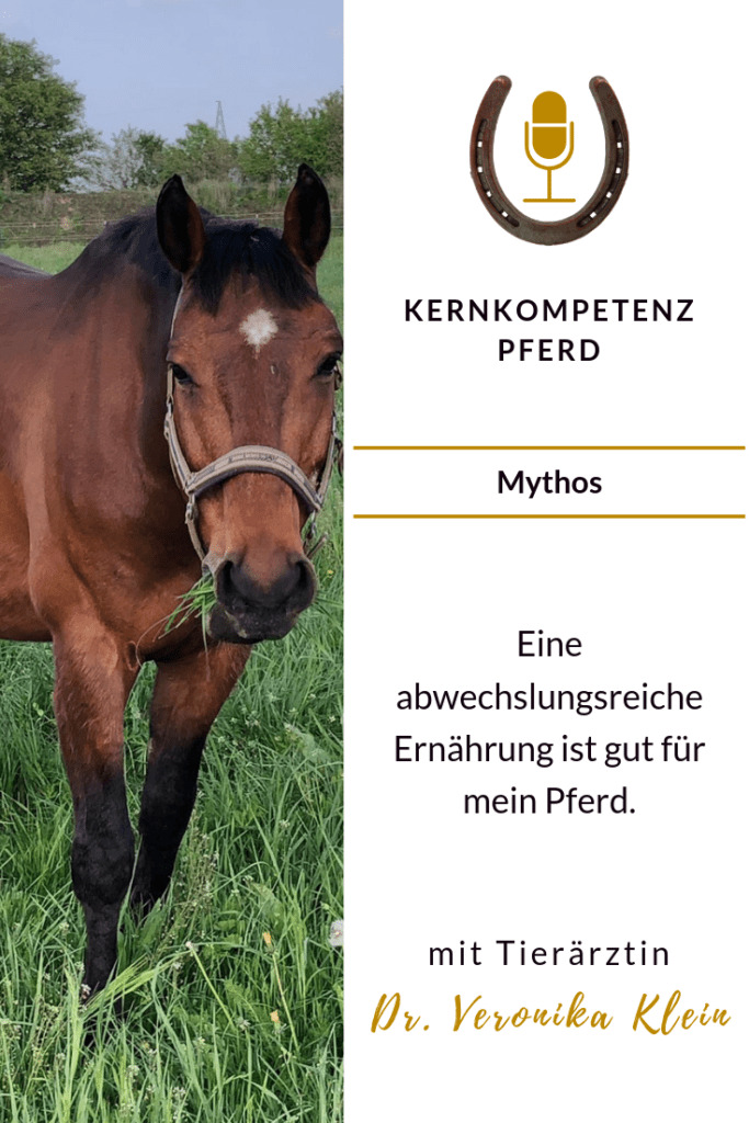 Mythos-pferde-futter