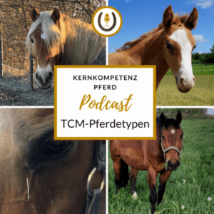 Akupunktur Pferd Paderborn