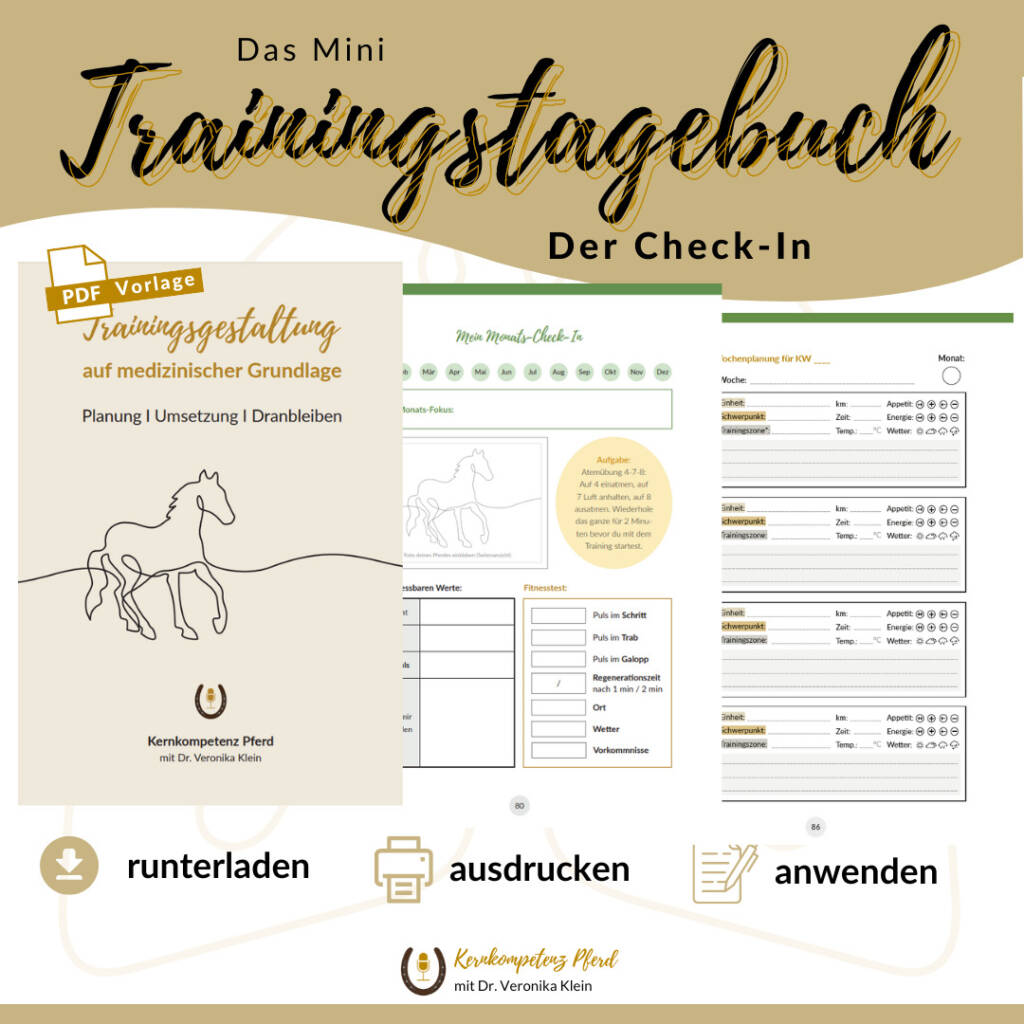 Mini-Trainingstagebuch