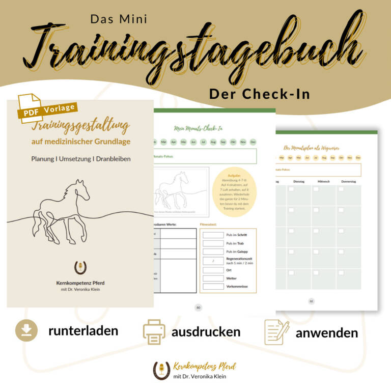 Mini-Trainingstagbuch