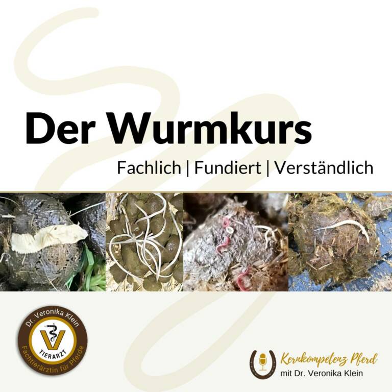 Wurmkurs