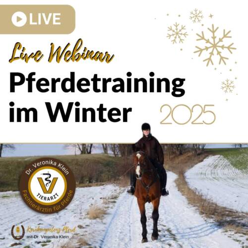 Pferdetraining im Winter