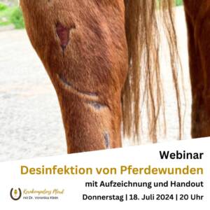 Webinar Desinfektion