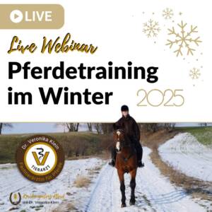 Webinar Pferdetraining im Winter