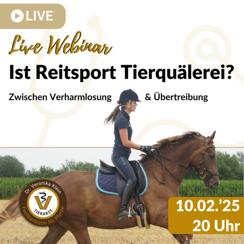 Webinar - Ist Reitsport Tierquälerei?