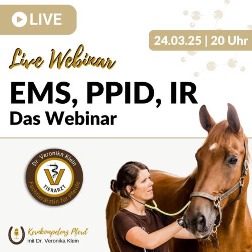 EMS, PPID, IR - das Webinar