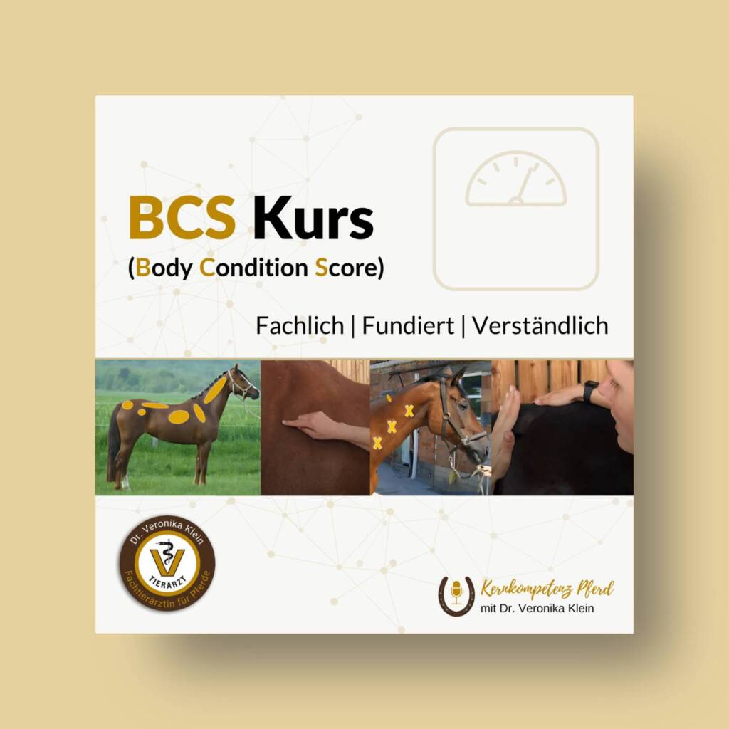 Body Condition Score Kurs