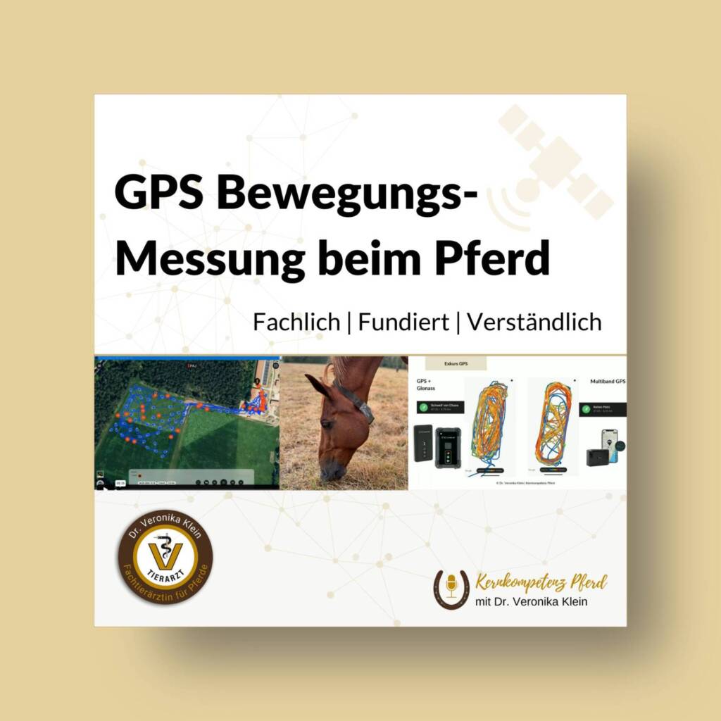 GPS Kurs
