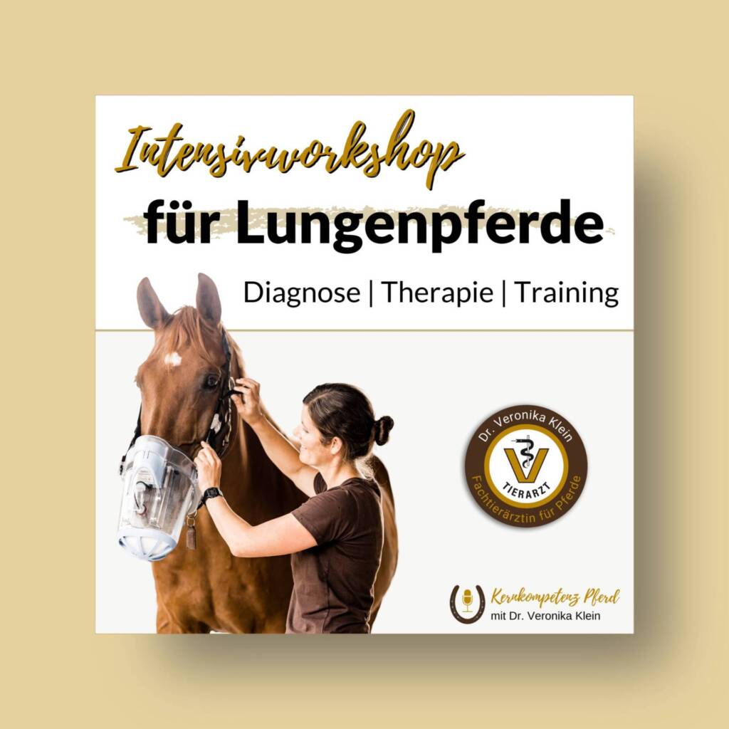 Lungenkurs