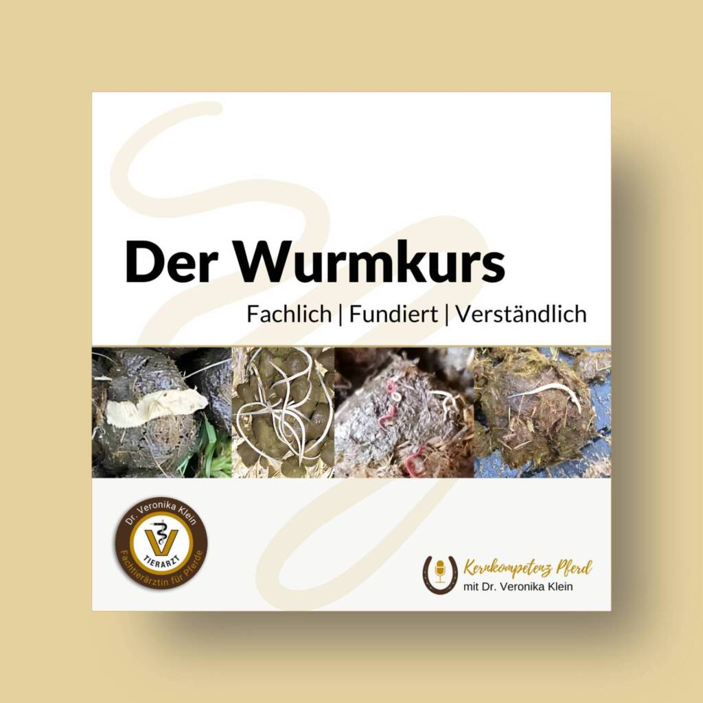 Wurmkurs