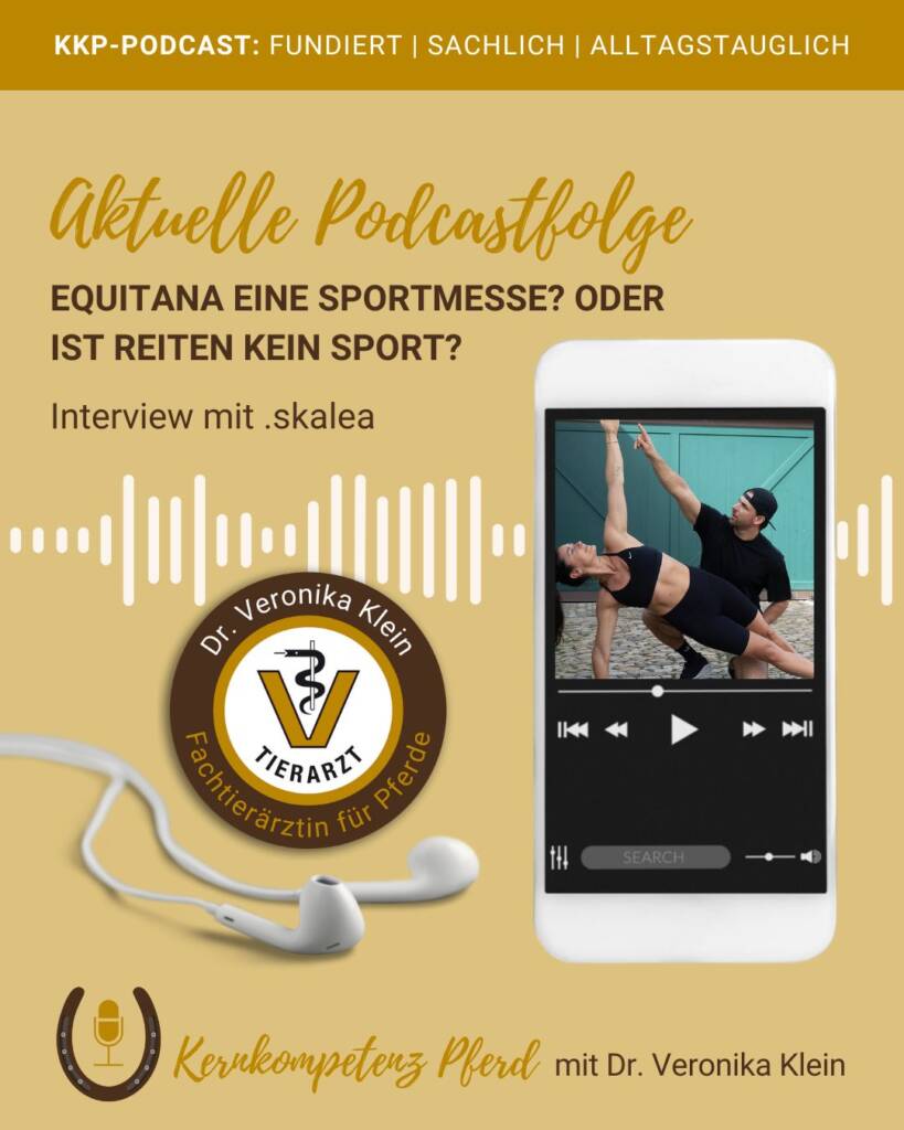 Reiter Fitness für dich und für dein Pferd