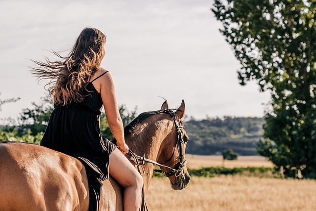 Reiten gesund Pferd