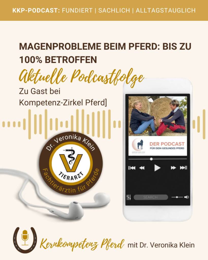 Magenprobleme_Pferd_Magengeschür