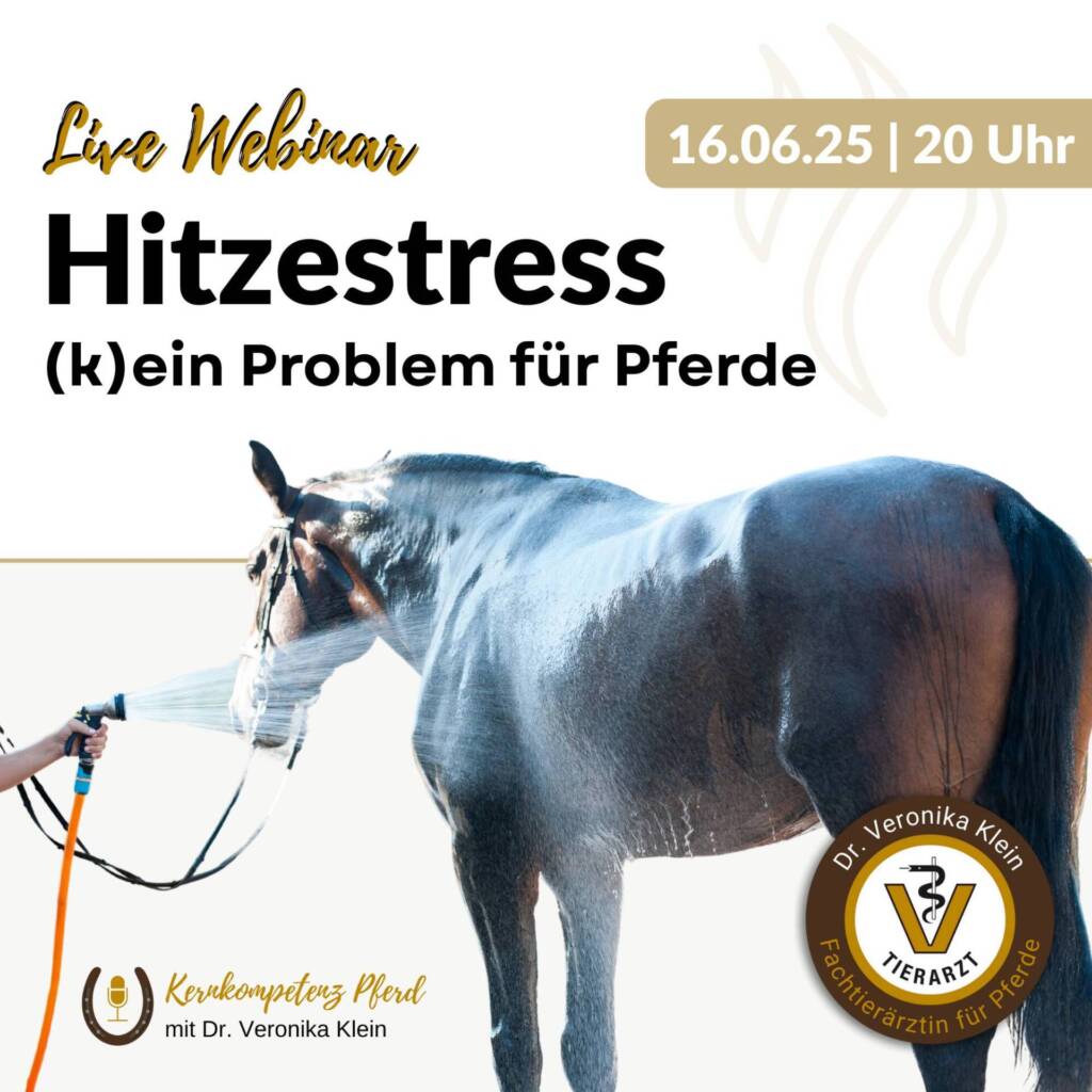 Webinar Hitzestress