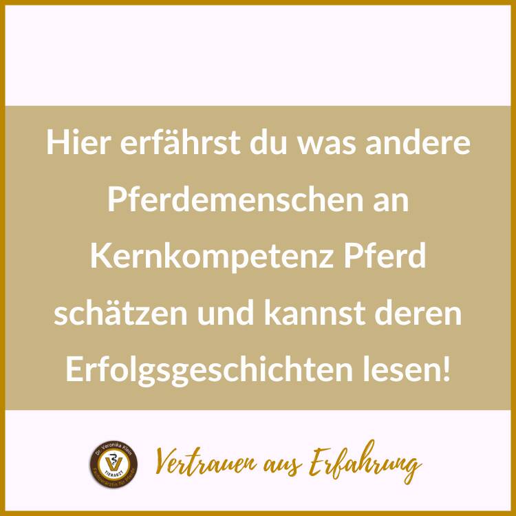 Badge mit Text: Hier erfährst du was andere Pferdemenschen an Kernkompetenz Pferd schätzen und kannst deren Erfolgsgeschichten lesen!