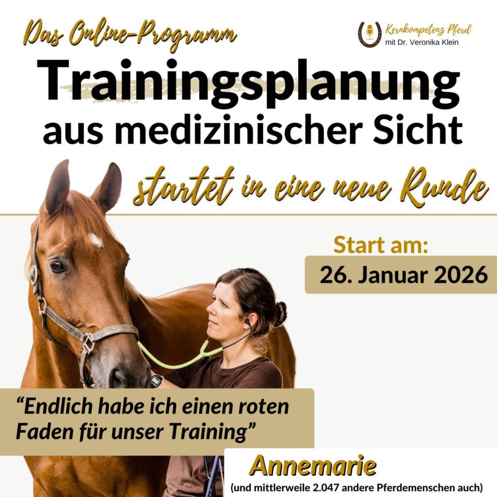 Trainingsplanung aus medizinischer Sicht - Januar 2026