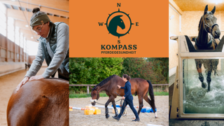 Pferde Reha-Zentrum Kompass Pferdegesundheit