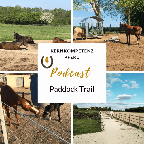 podcast-paddock-trail
